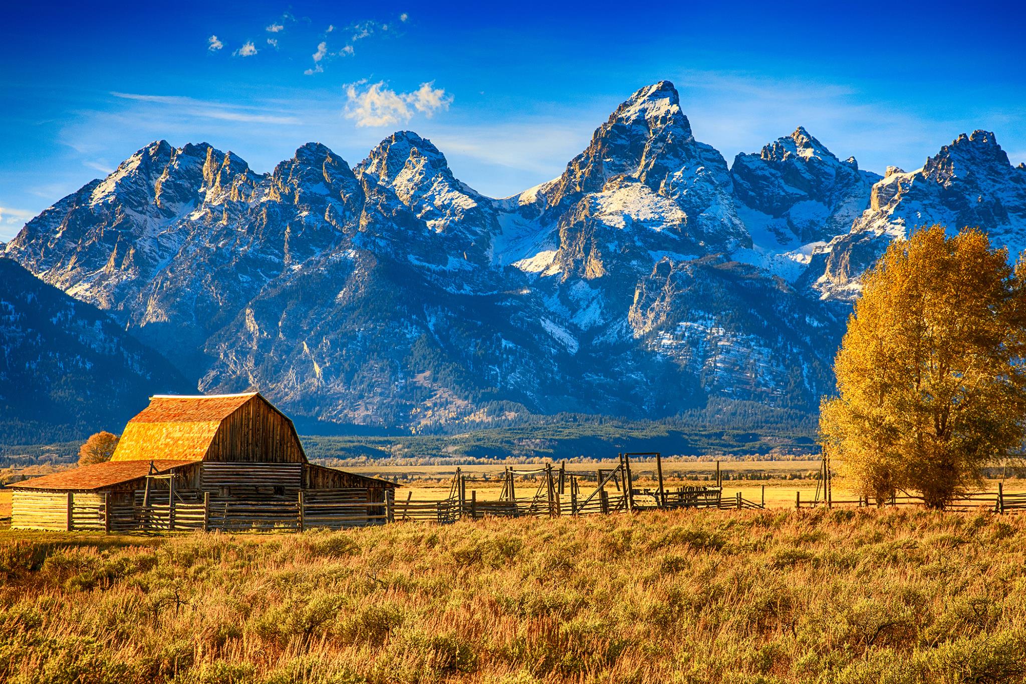 Temp Glass W/ Foil - Mountainous Barn Tempered Glass