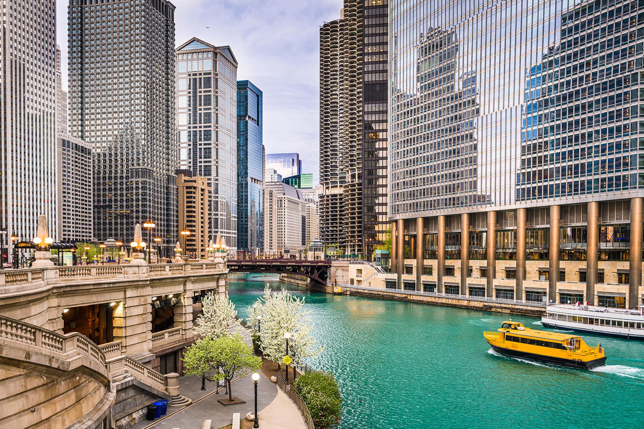 Temp Glass W/ Foil - Chicago River Tempered Glass