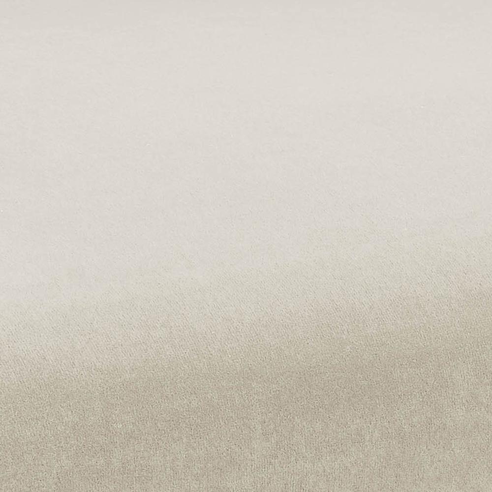 Kim Velvet Chair in Cream