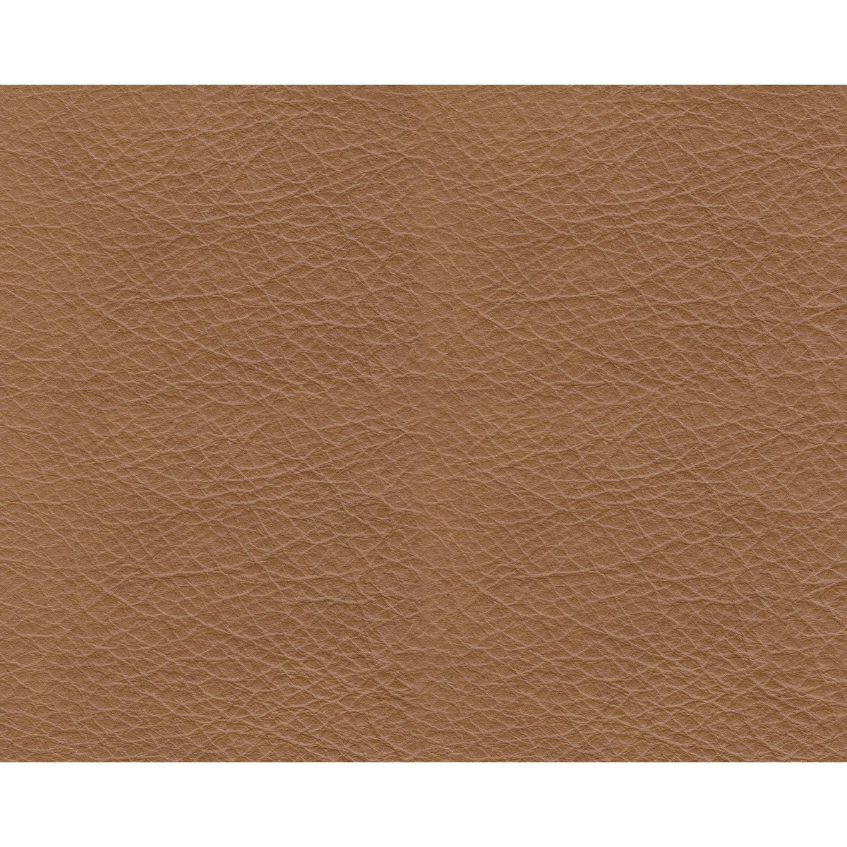 Tryanny Butterscotch Leather Power Reclining Sofa & Loveseat