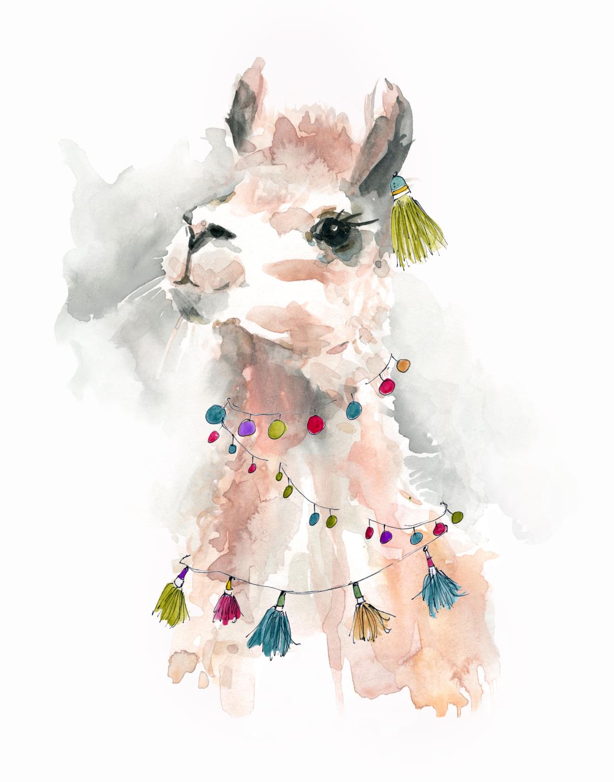 Youth Llama 2 Curated Canvas