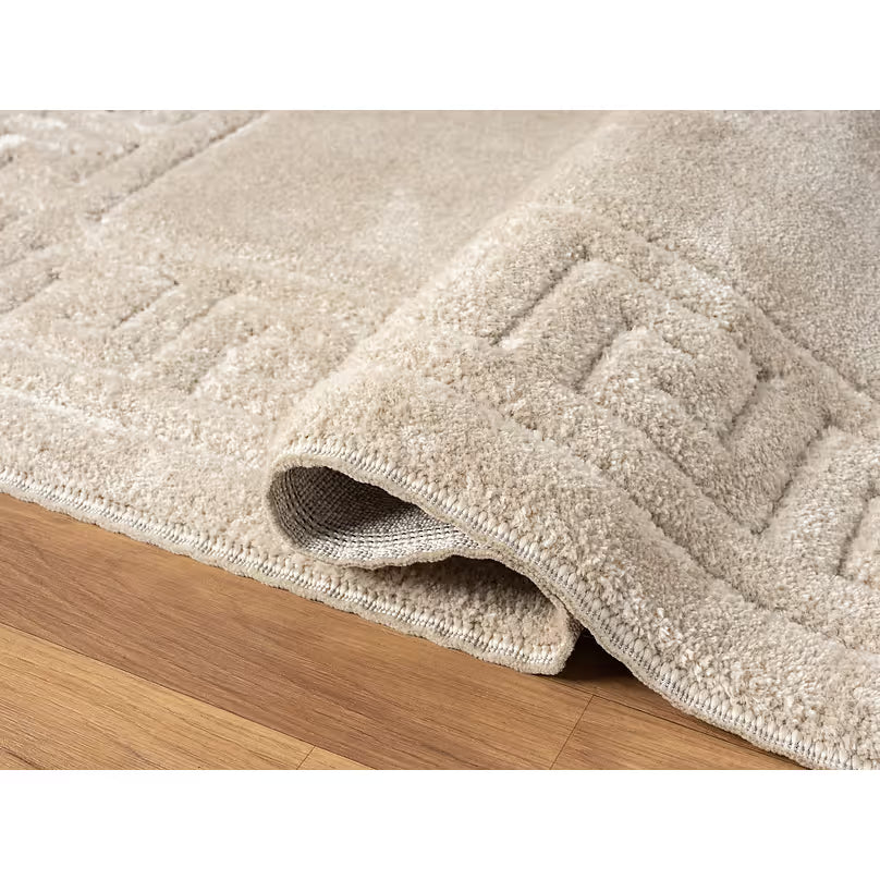 Skyler 625 Champagne 5x7 Area Rug