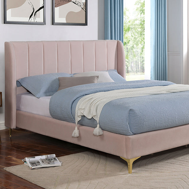 Pearl Bed — Pearl Bed