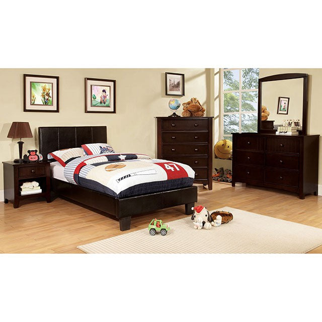 Omnus Accent & Decor Collection