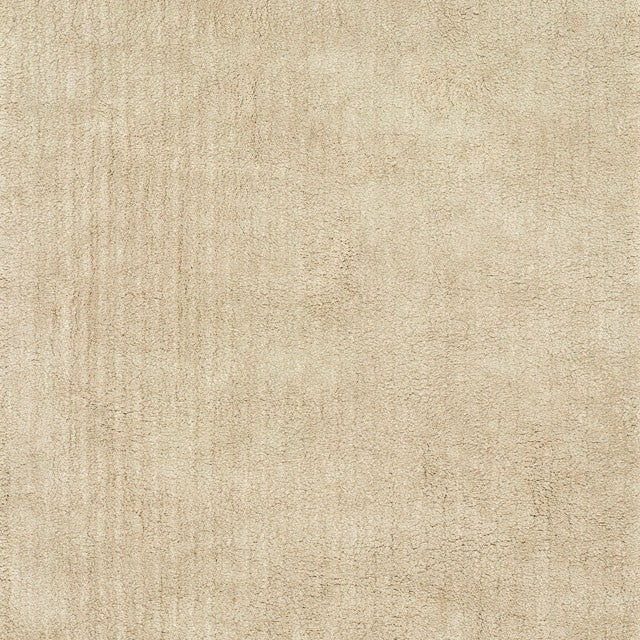 Zala Shag Medium Area Rug — Zala Shag Medium Area Rug