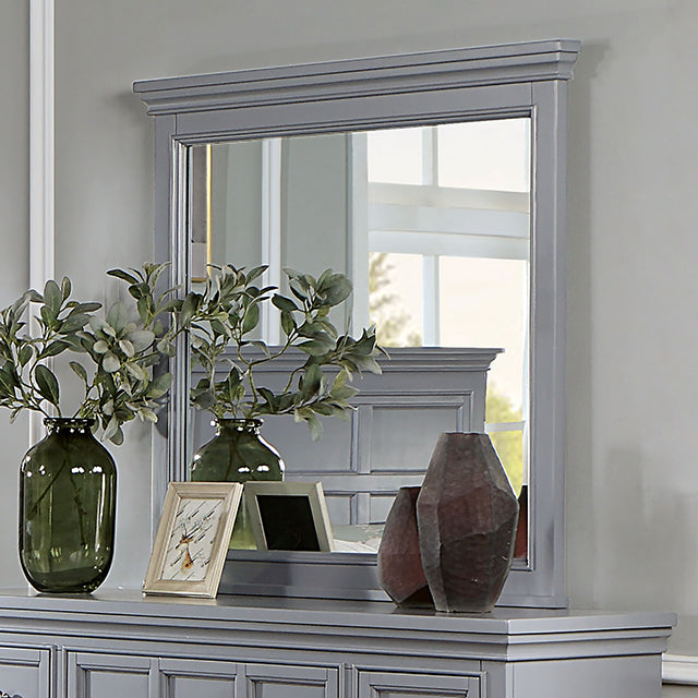 Castlile Gray Transitional Bedroom Collection - Mirror