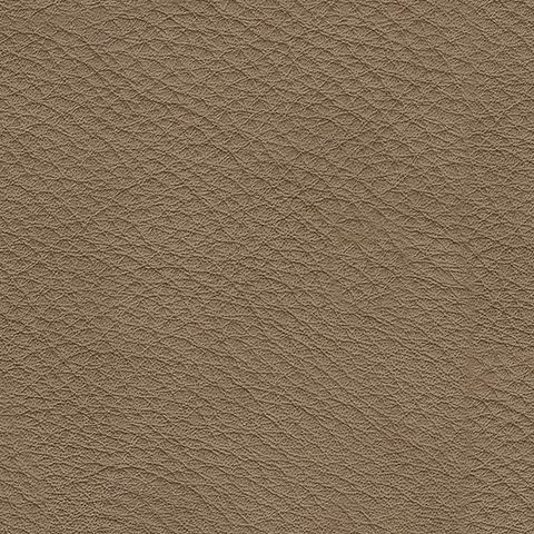 Veronella Collection โ view 10