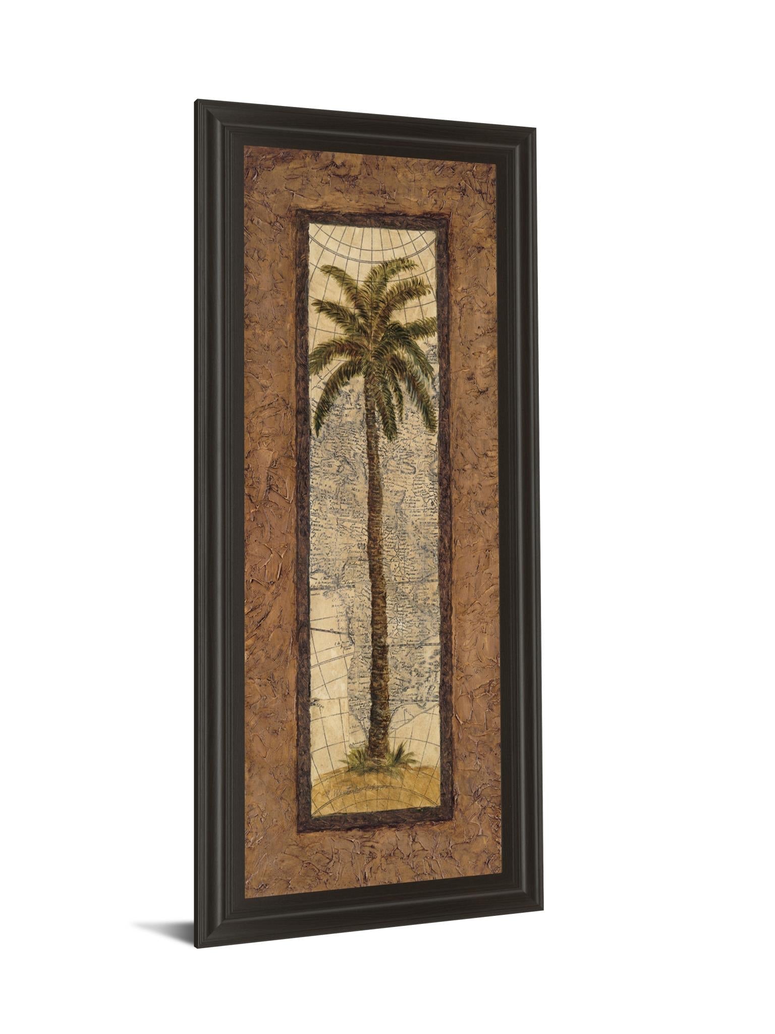 Global View Ii By Charlene Olson 18X42 Framed Print