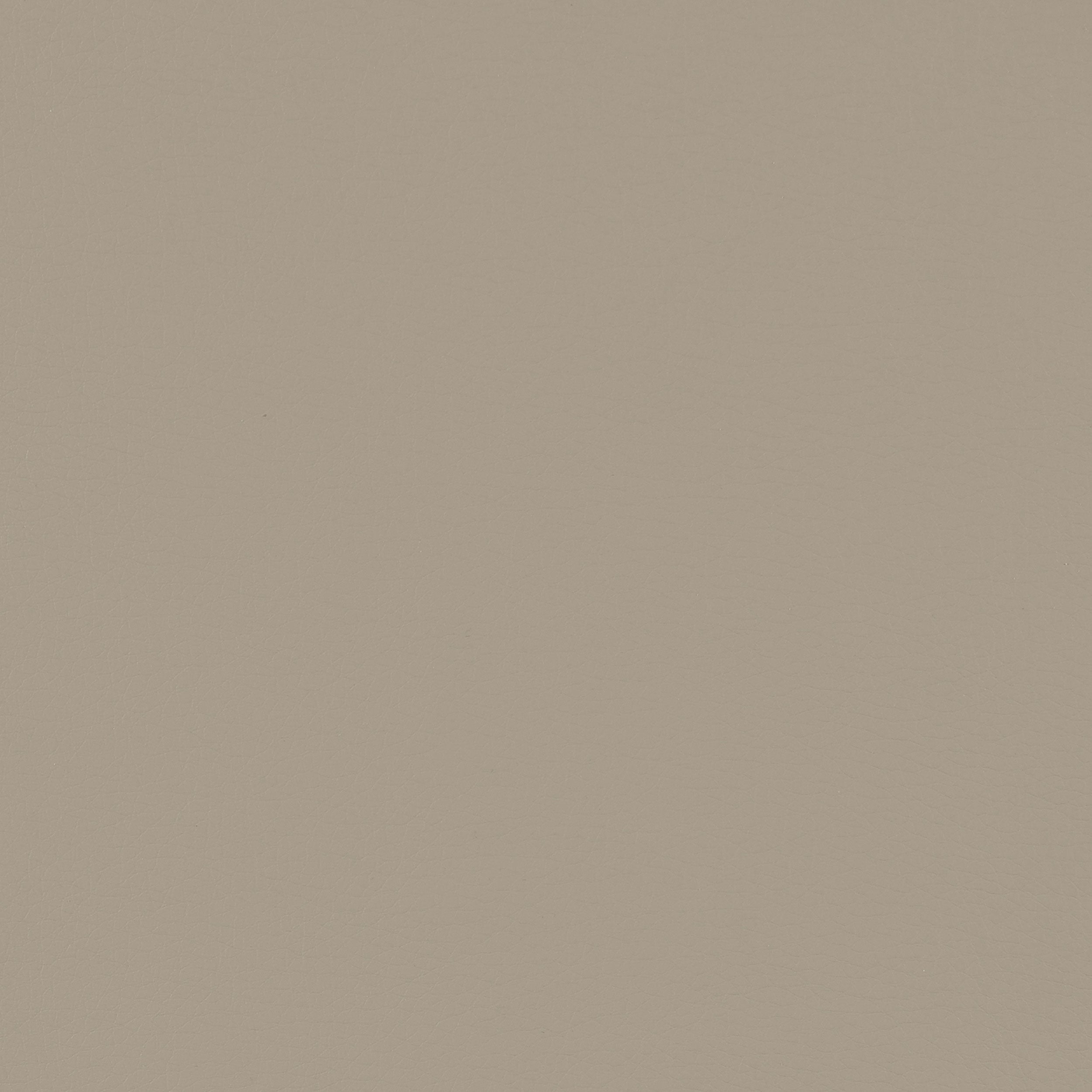 Caballo Upholstered Side Chairs Grey (Set of 2)