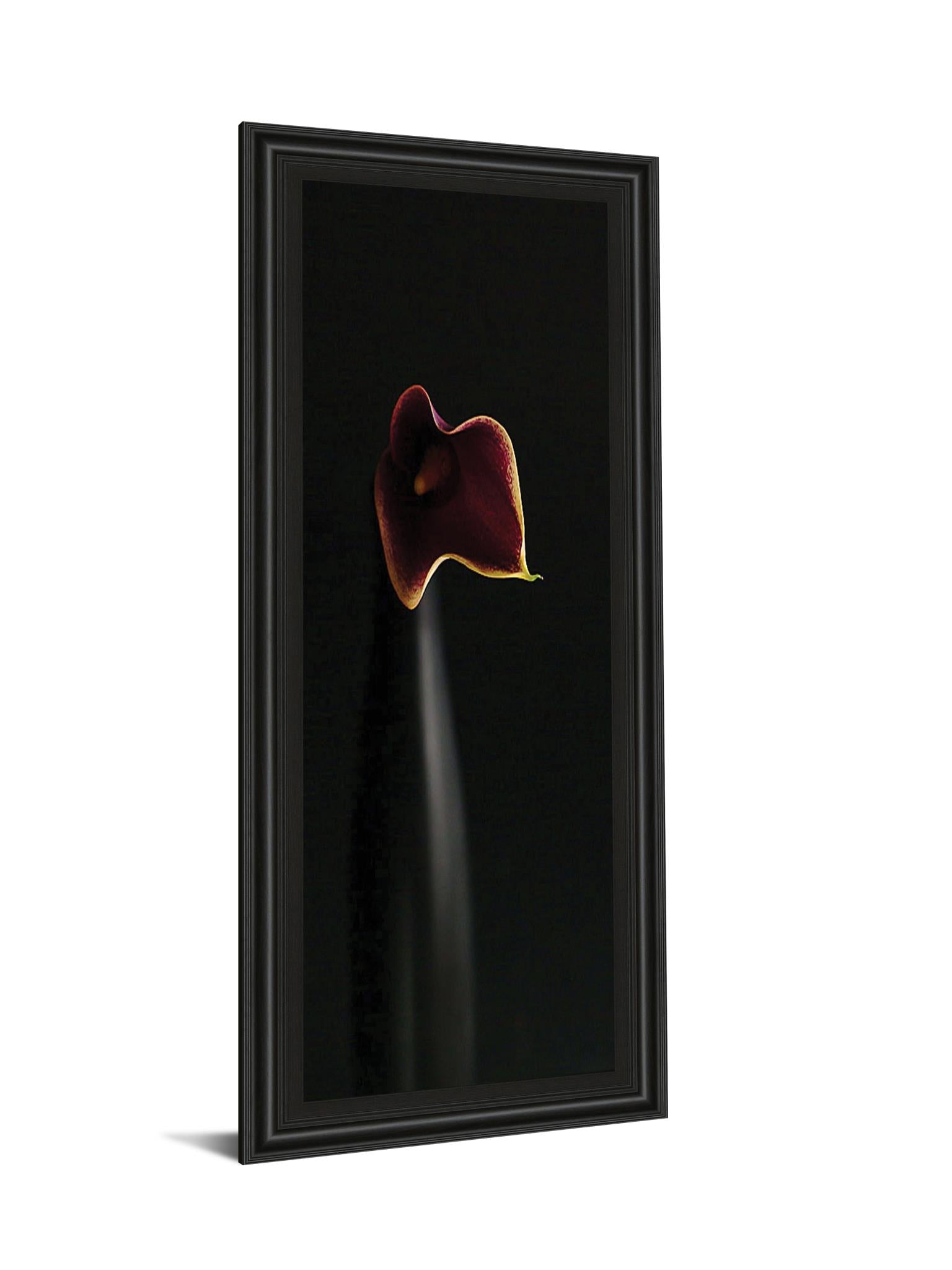 Calla In Ebony By Steven Mitchell 18X42 Framed Print