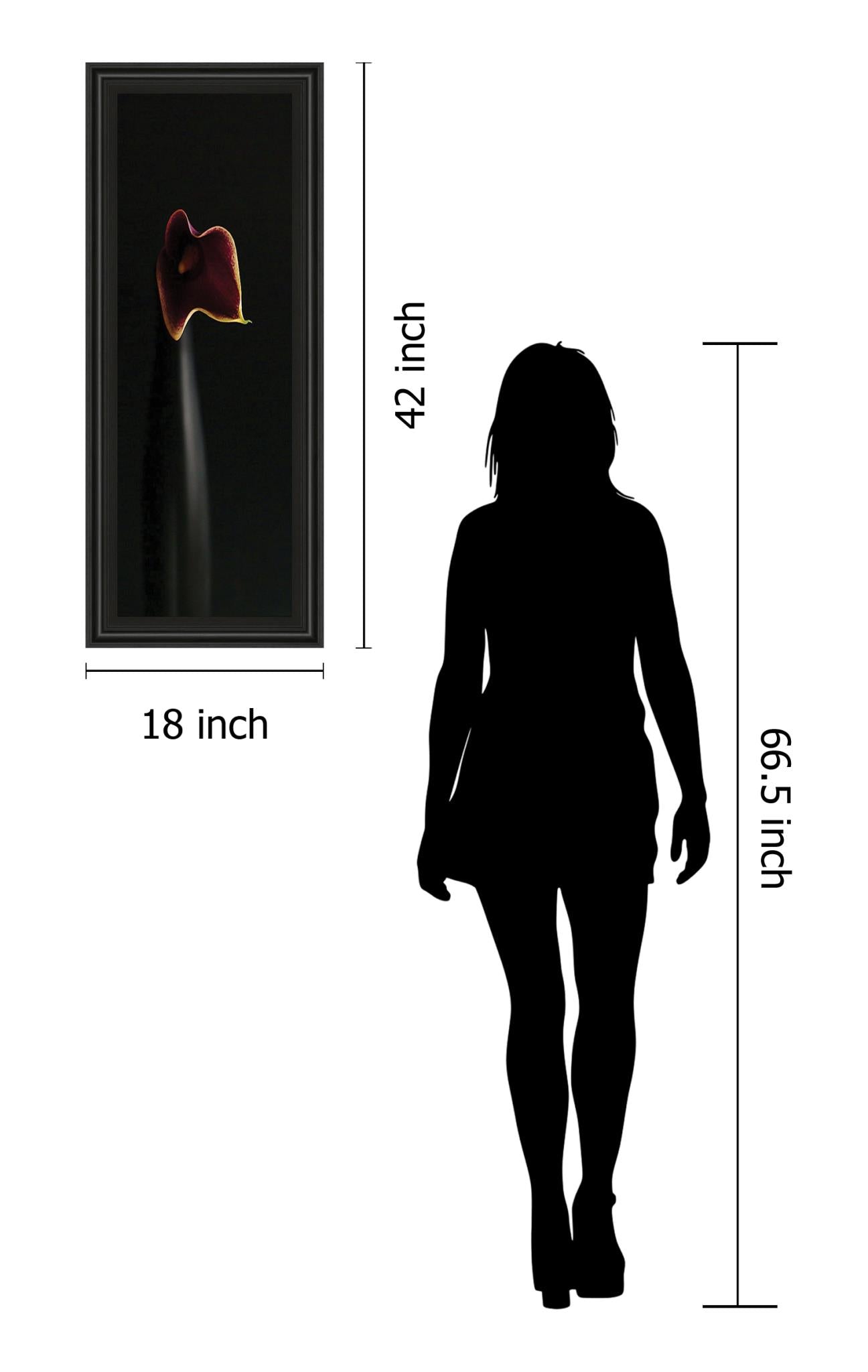 Calla In Ebony By Steven Mitchell 18X42 Framed Print