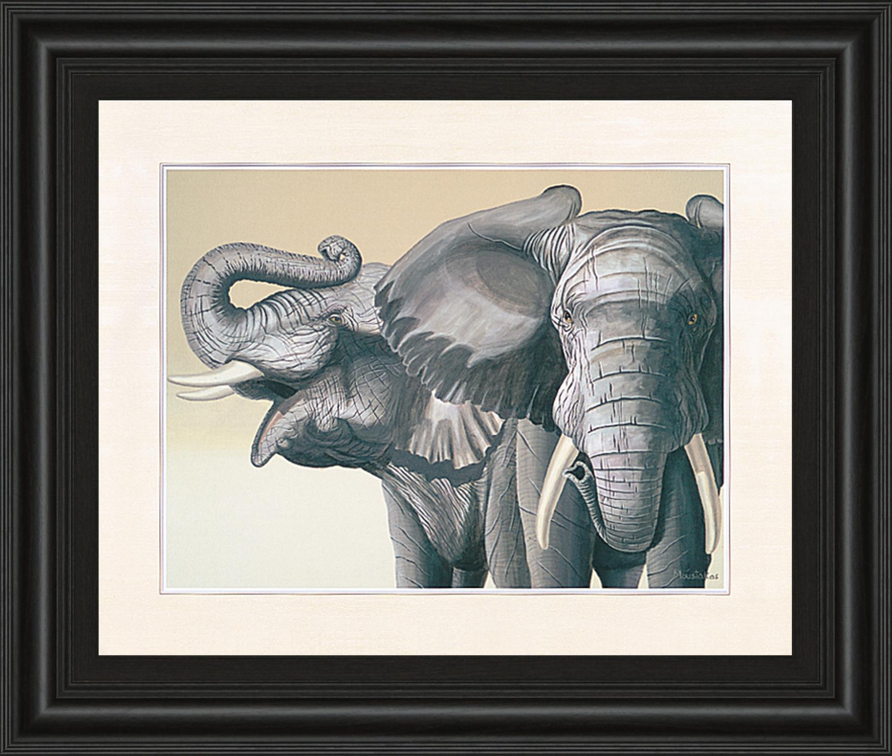 Elephant By Peter Moustakas 22X26 Framed Print