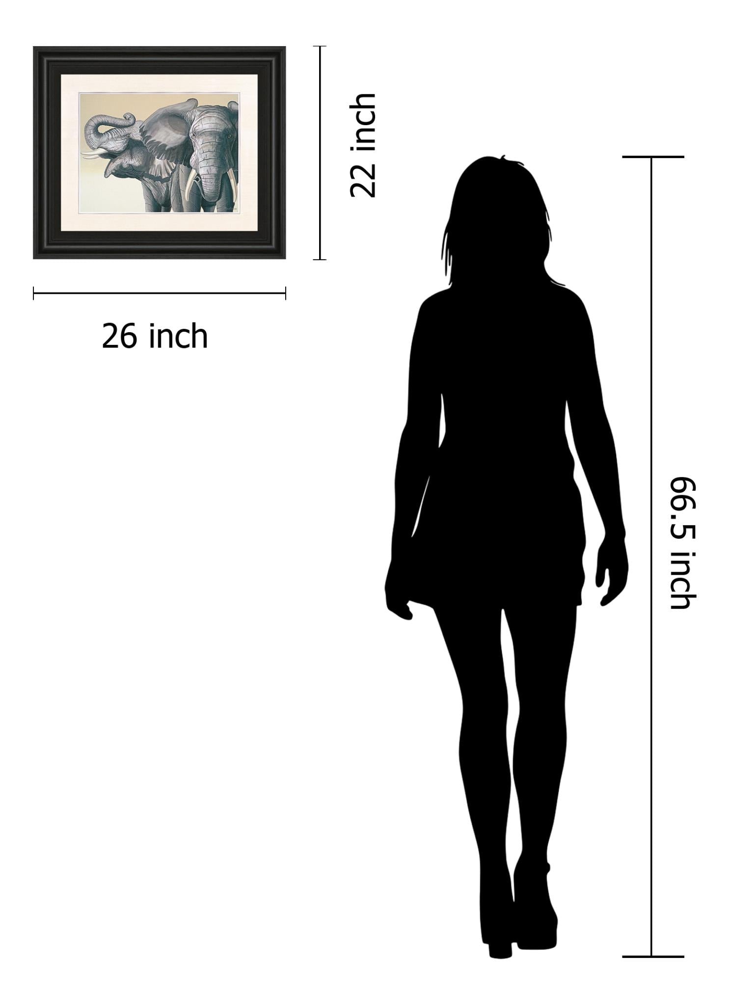 Elephant By Peter Moustakas 22X26 Framed Print