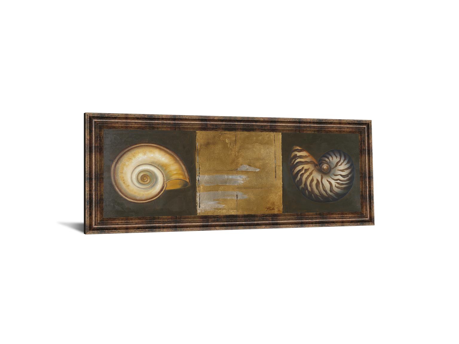 Seashells I By Patricia Pinto 18X42 Framed Print