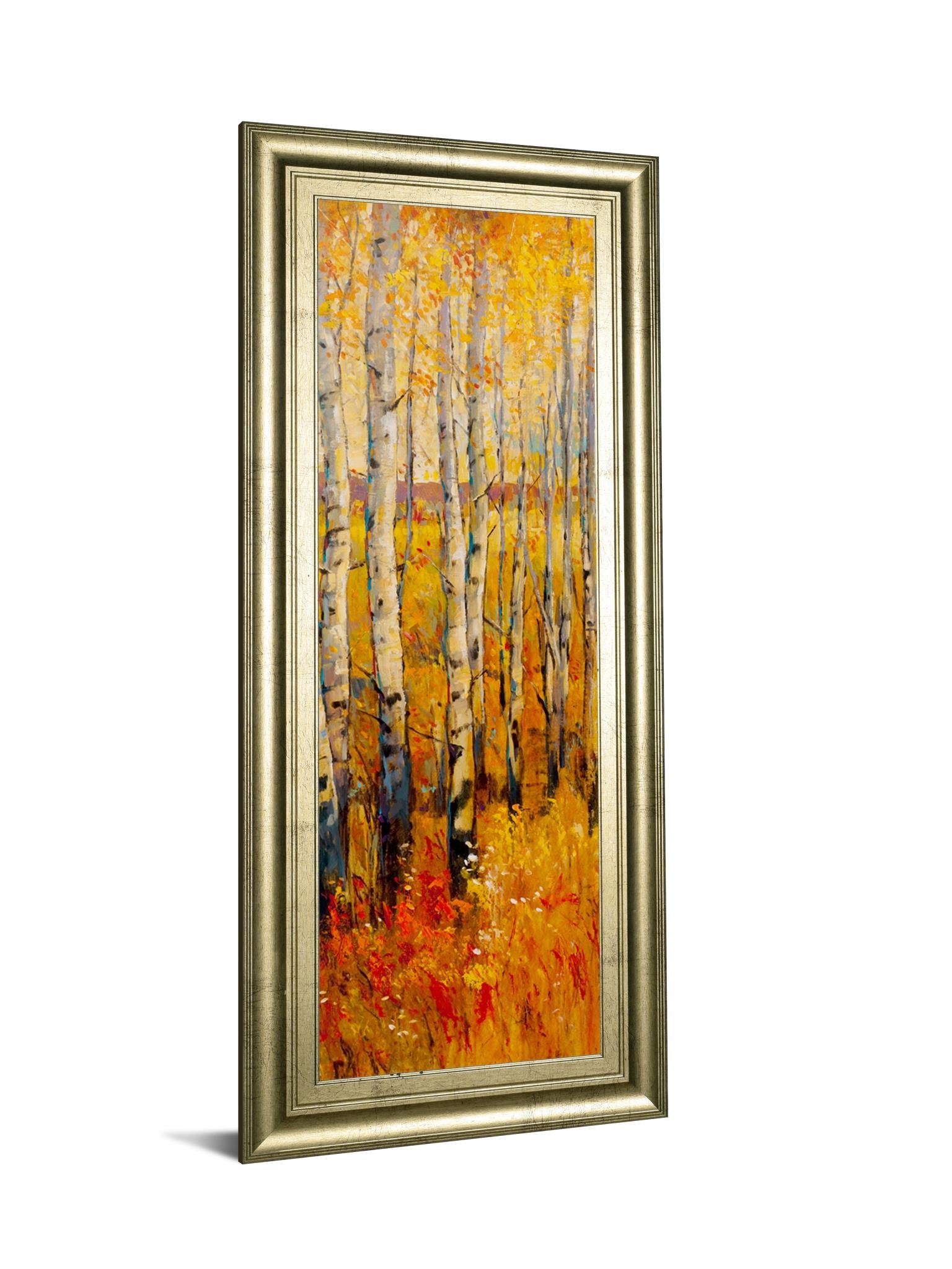 Vivid Birch Forest Ii By Tim Otoole 18X42 Framed Print