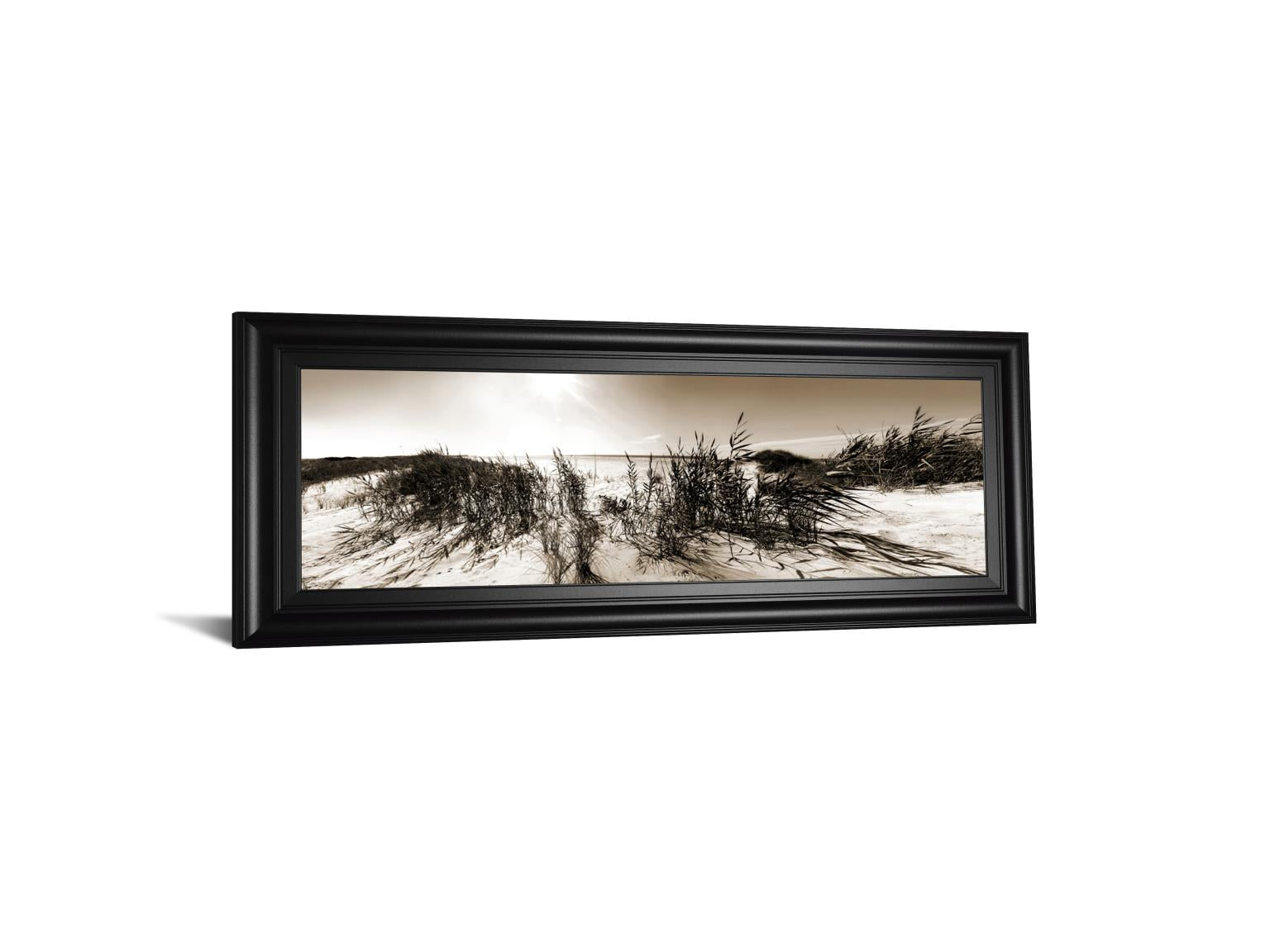 The Wind In The Dunes I By Noah Bay 18X42 Framed Print