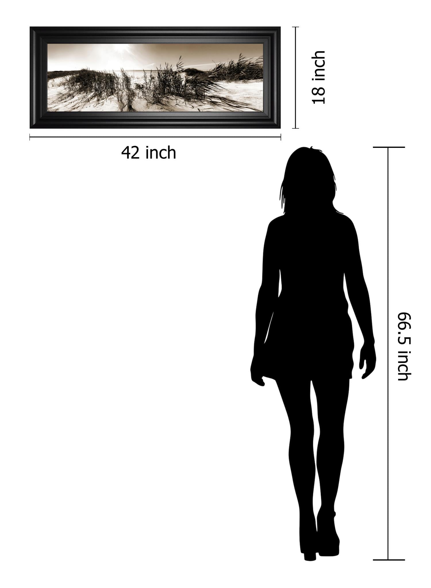 The Wind In The Dunes I By Noah Bay 18X42 Framed Print