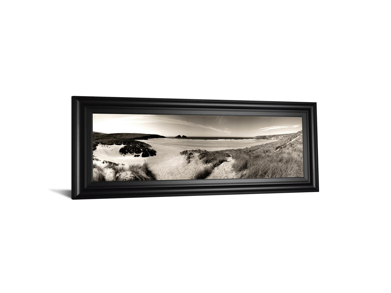 The Wind In The Dunes Ii By Noah Bay 18X42 Framed Print