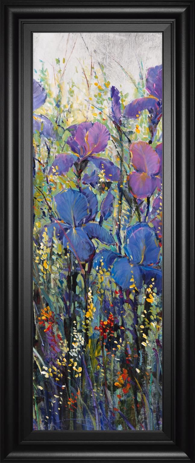 Iris Field Ii By Tim Otoole 18X42 Framed Print