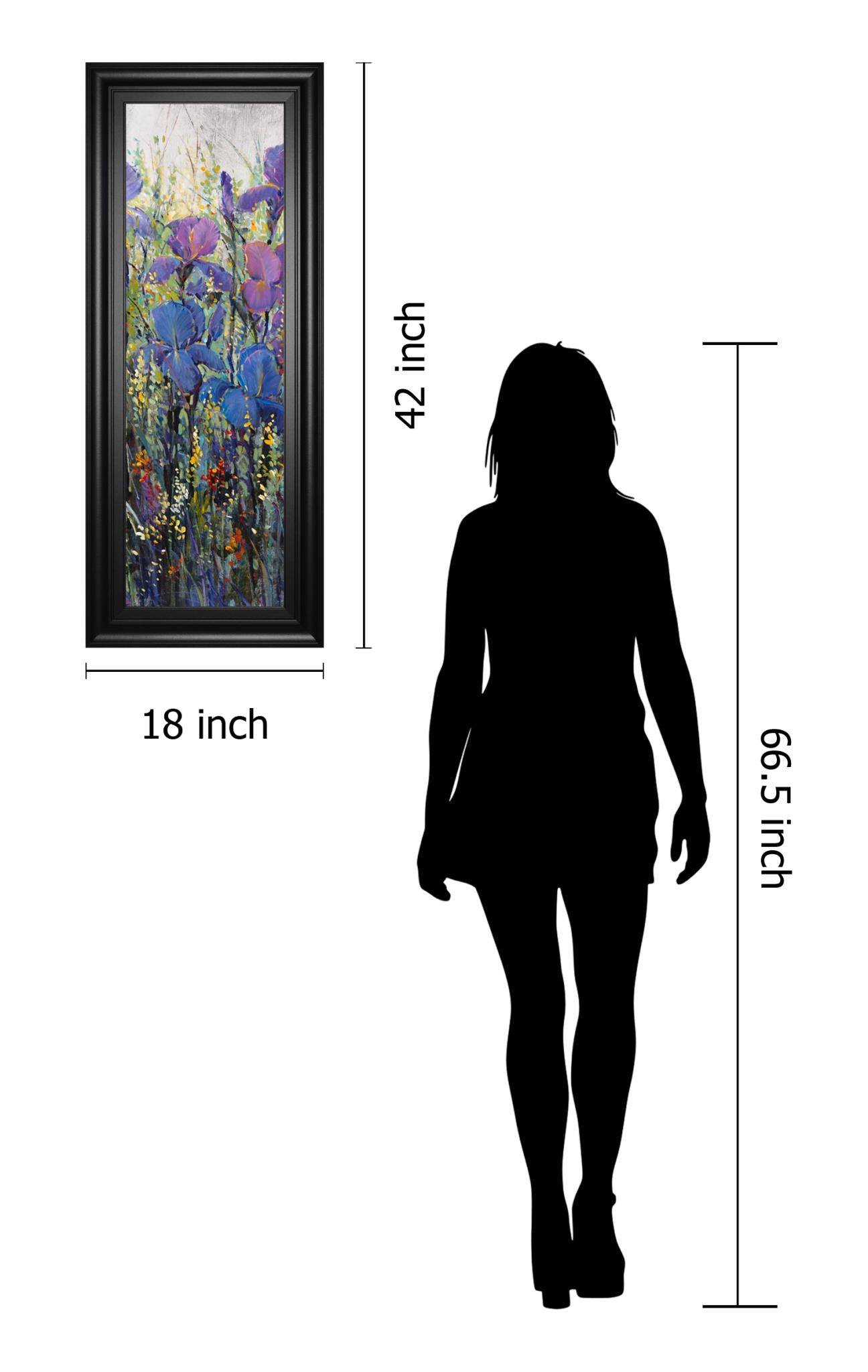 Iris Field Ii By Tim Otoole 18X42 Framed Print