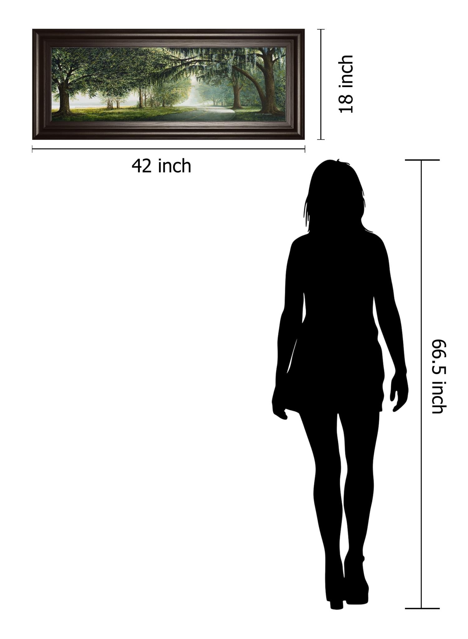 Lake Shore Drive By Bruce Nawrocke 18X42 Framed Print