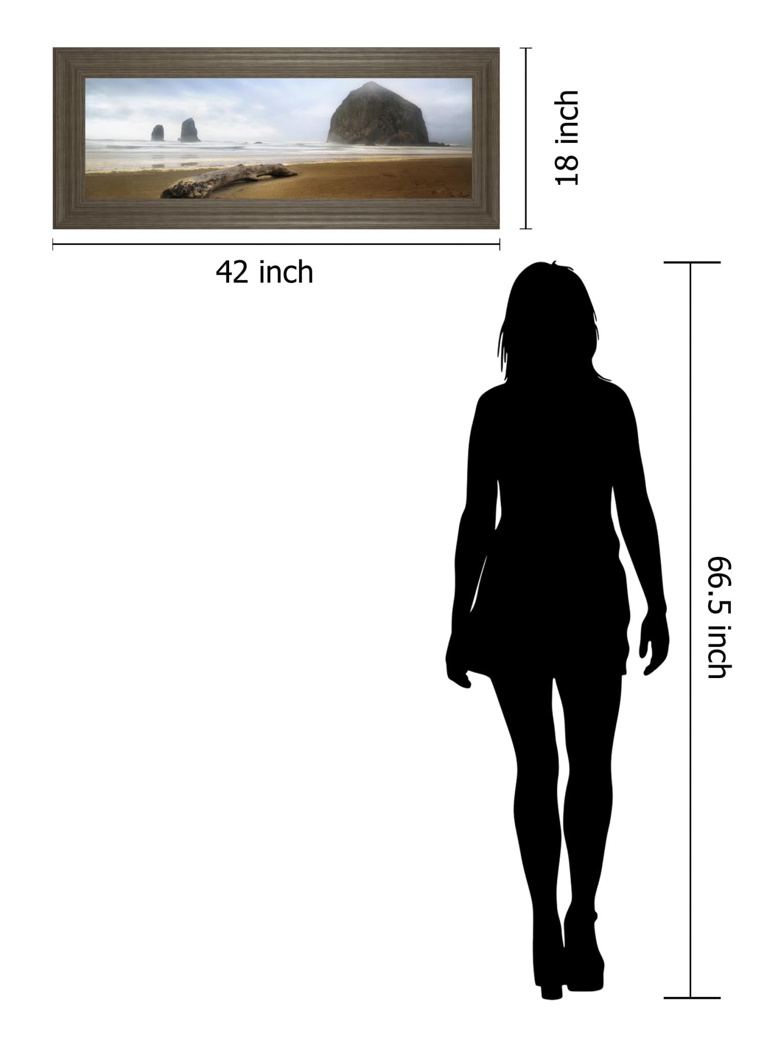 From Cannon Beach Ii By David Drost 18X42 Framed Print