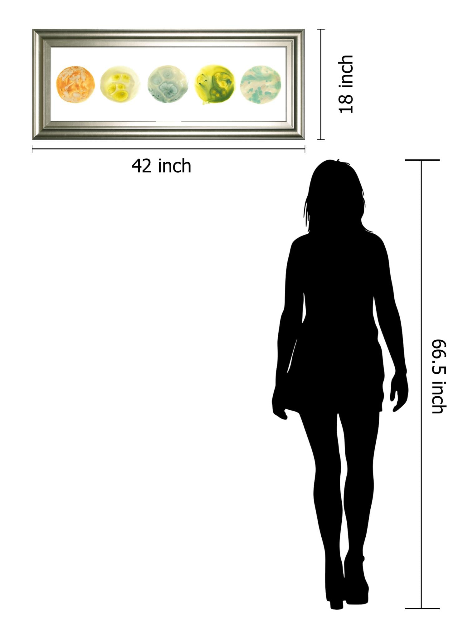 Planetary Viii By June Erica Vess 18X42 Framed Print