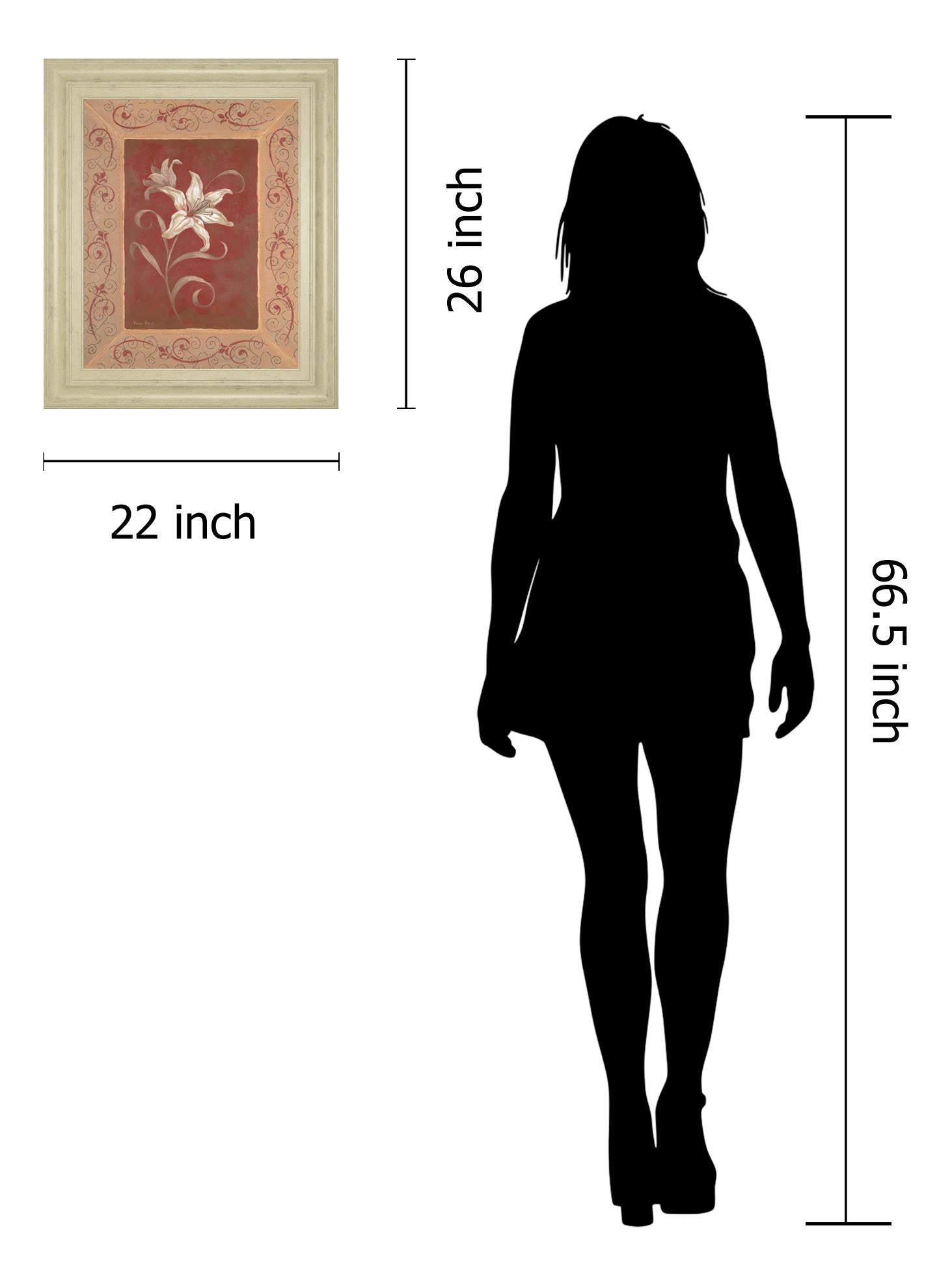 Amanda'S Lily By Vivian Flasch 22X26 Framed Print