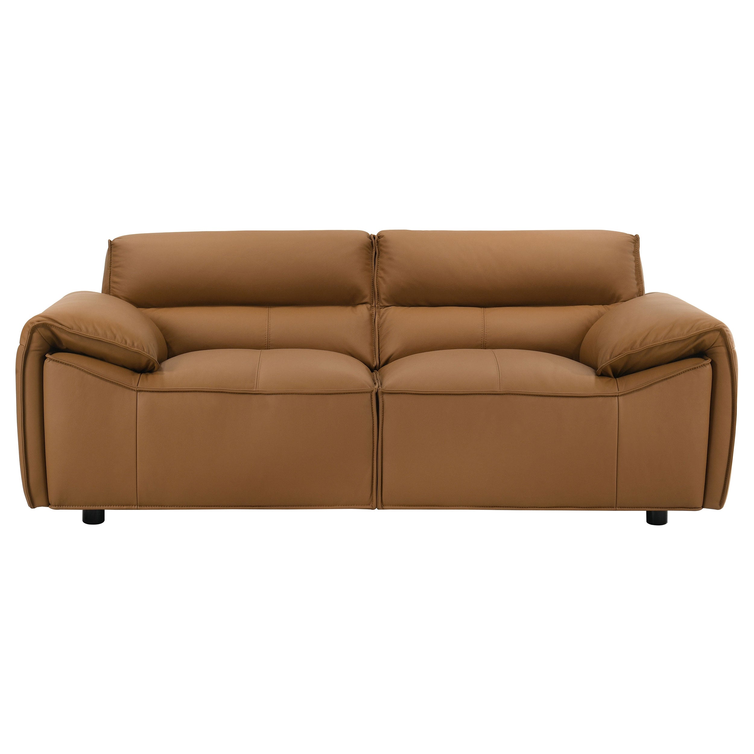 Buxton Leather Upholstered Sofa Set