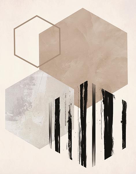 Hexagonal Display I By Daniela Santiago Giclee Canvas
