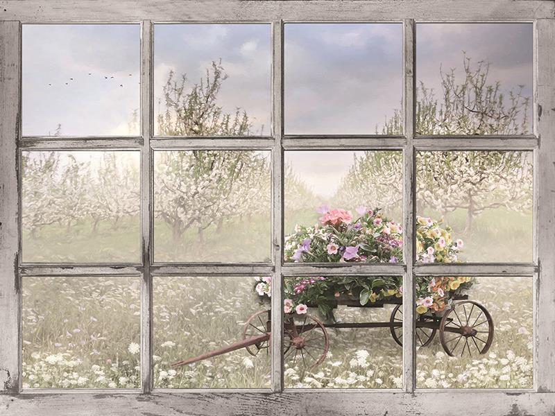 Colorful Spring Blossoms By Lori Deiter Giclee Canvas