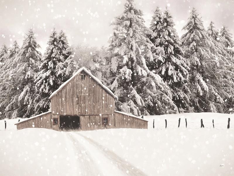 North Country By Lori Deiter Giclee Canvas