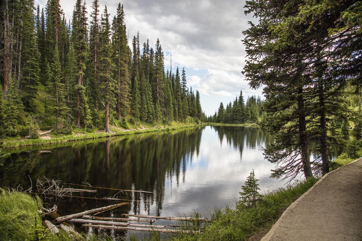 Peaceful River View By Piddix Giclee Canvas