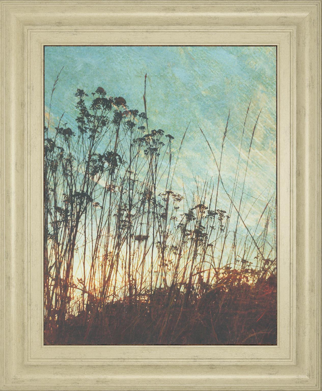 Wild Grass By Amy Melious 22X26 Framed Print