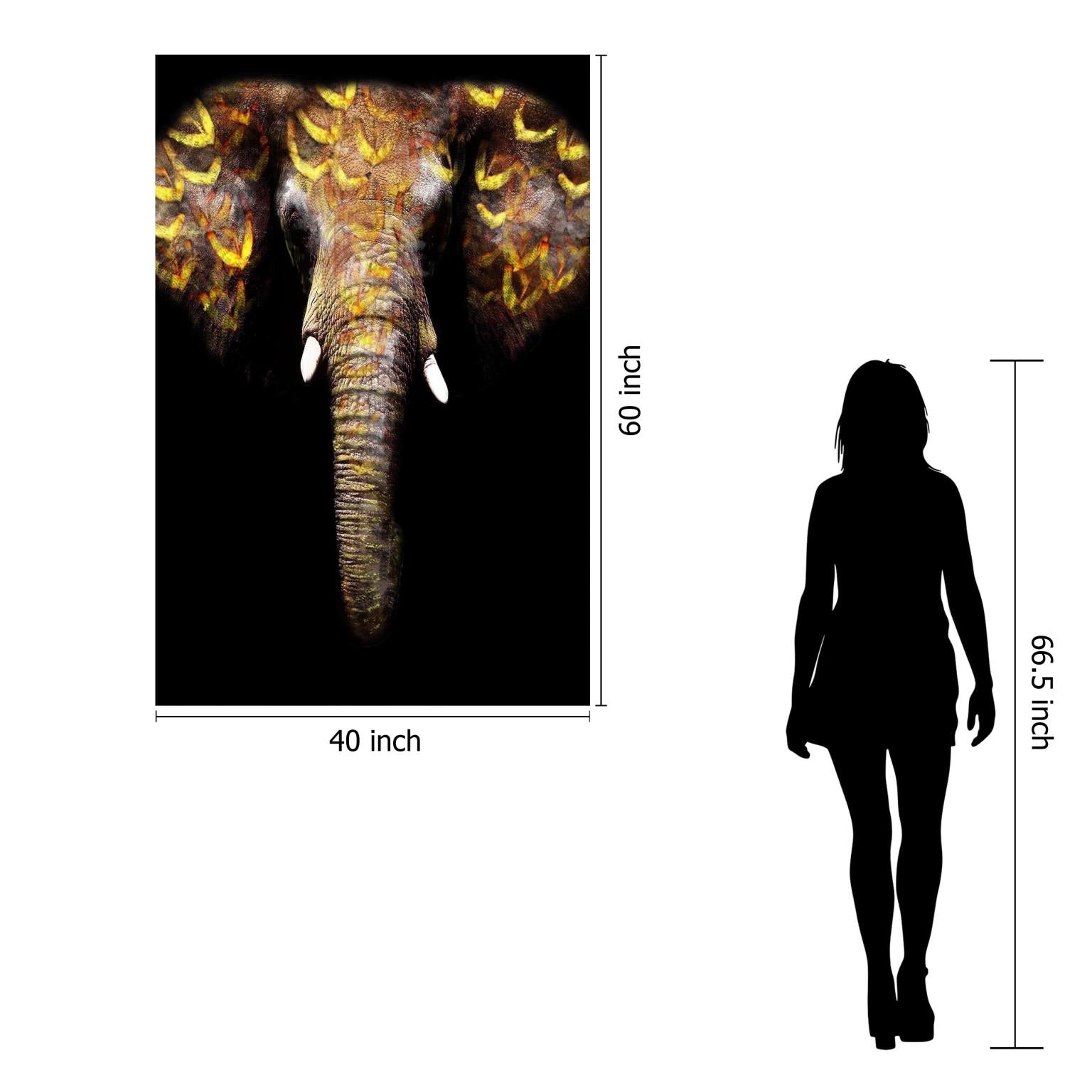 Temp Glass W/Foil - Gold Elephant Tempered Glass