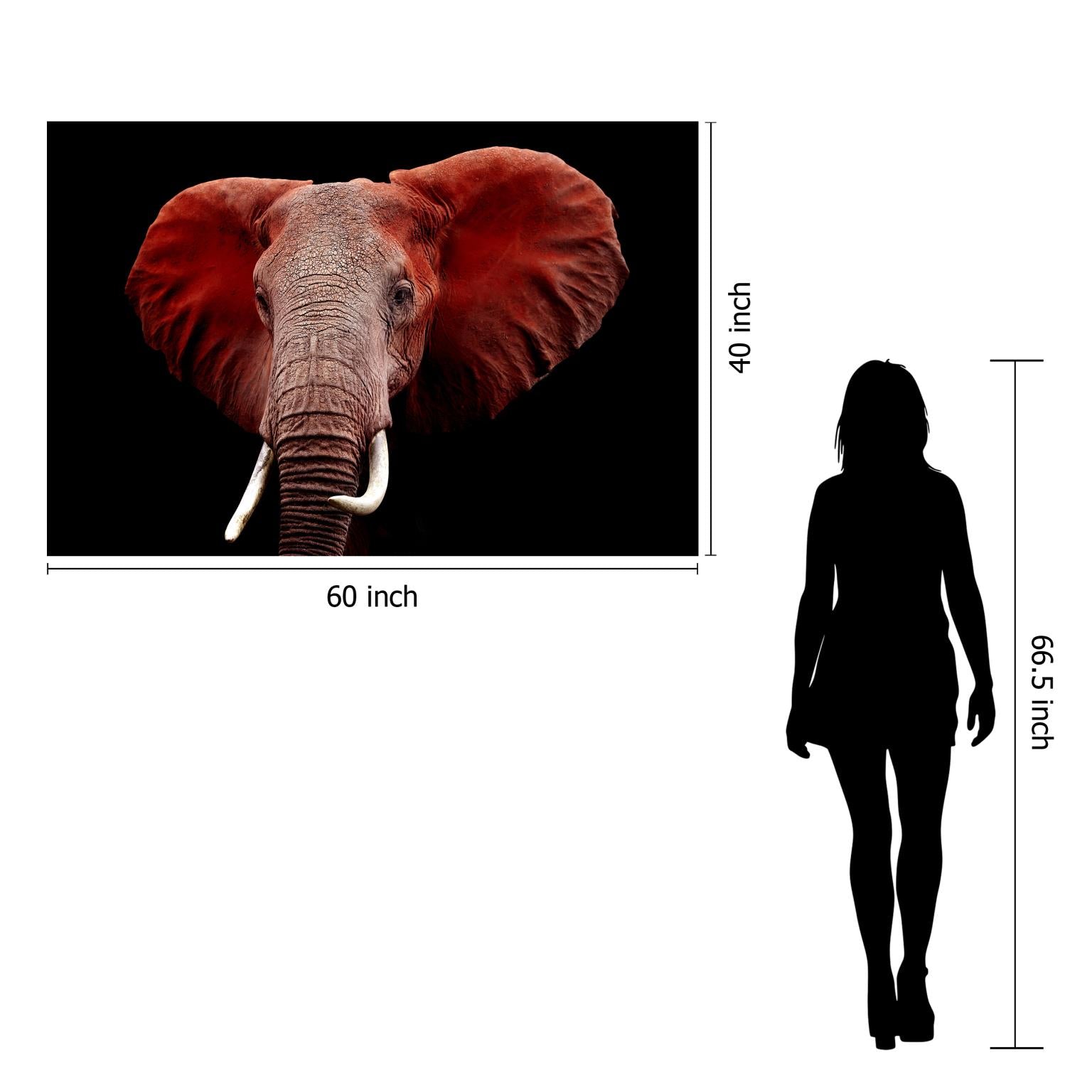 Temp Glass W/Foil - Red Elephant Tempered Glass