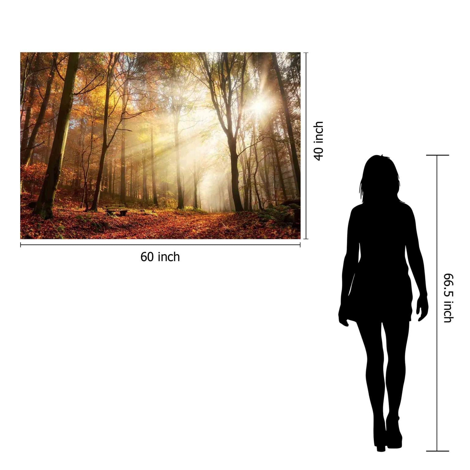 Temp Glass W/Foil - Sunlight In Woods Tempered Glass