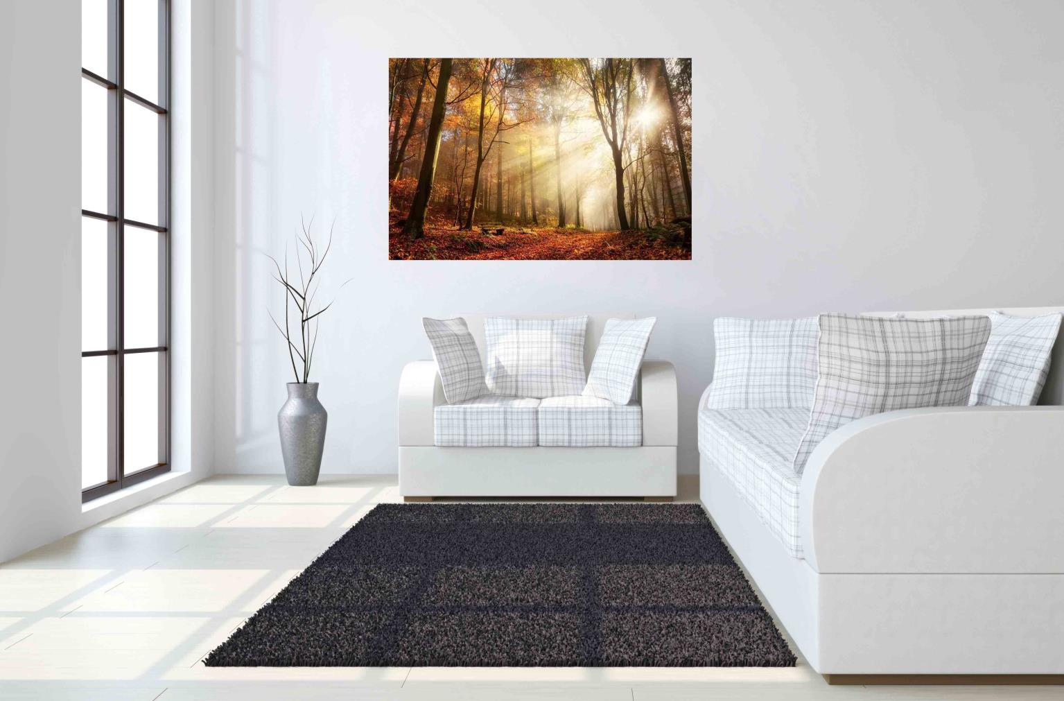 Temp Glass W/Foil - Sunlight In Woods Tempered Glass