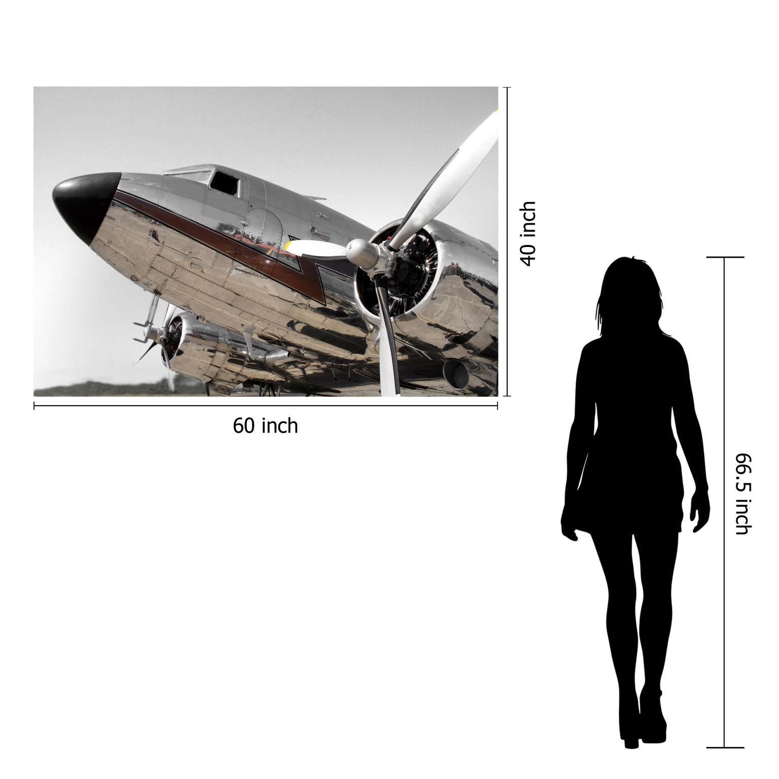 Temp Glass W/Foil - Chrome Airplane Tempered Glass