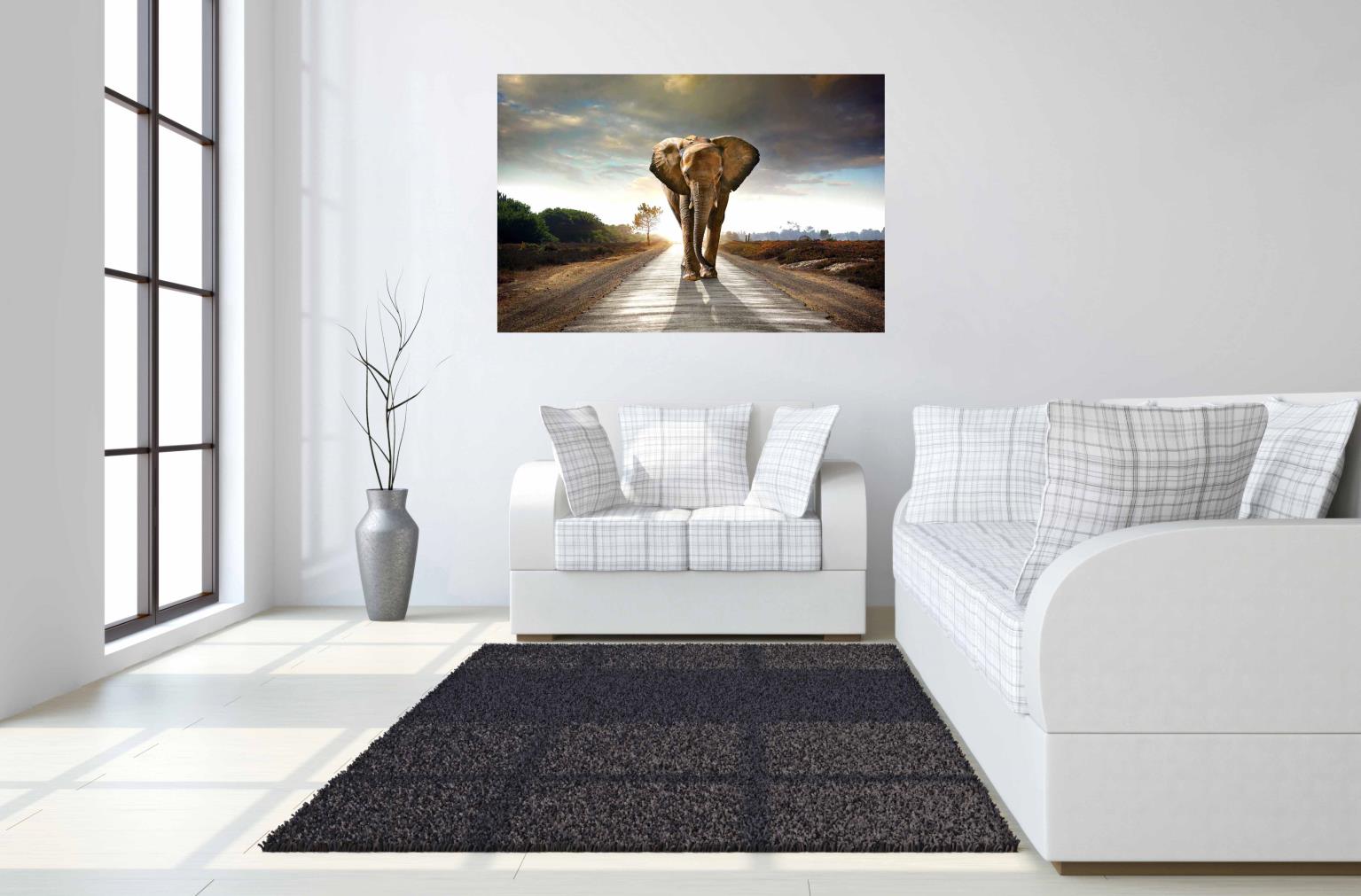 Temp Glass W/Foil - Elephant Walk Tempered Glass