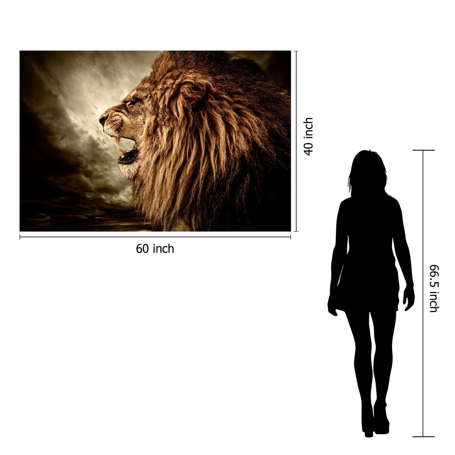 Temp Glass W/Foil - Lion Side Profile Tempered Glass