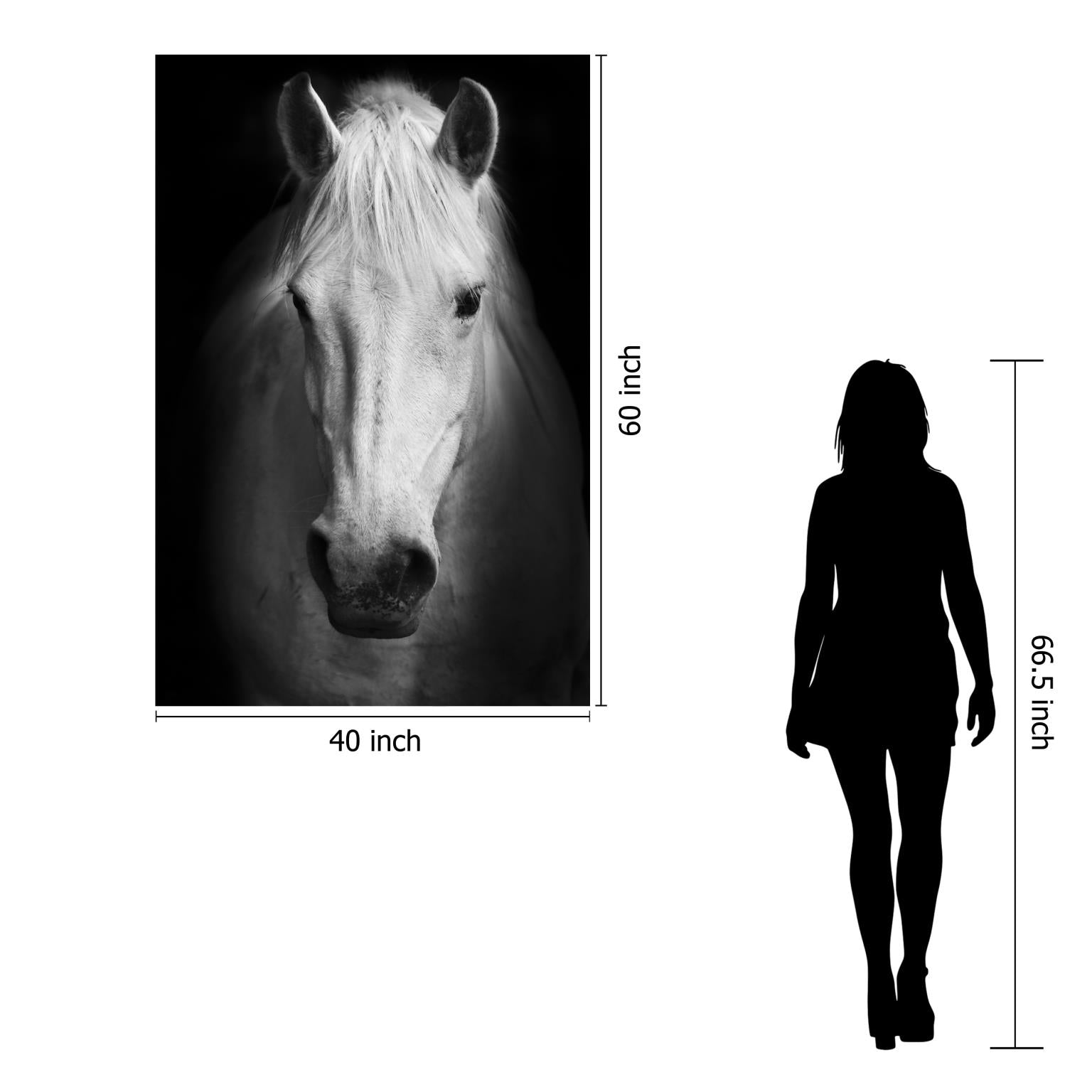 Temp Glass W/Foil - White Horse Tempered Glass