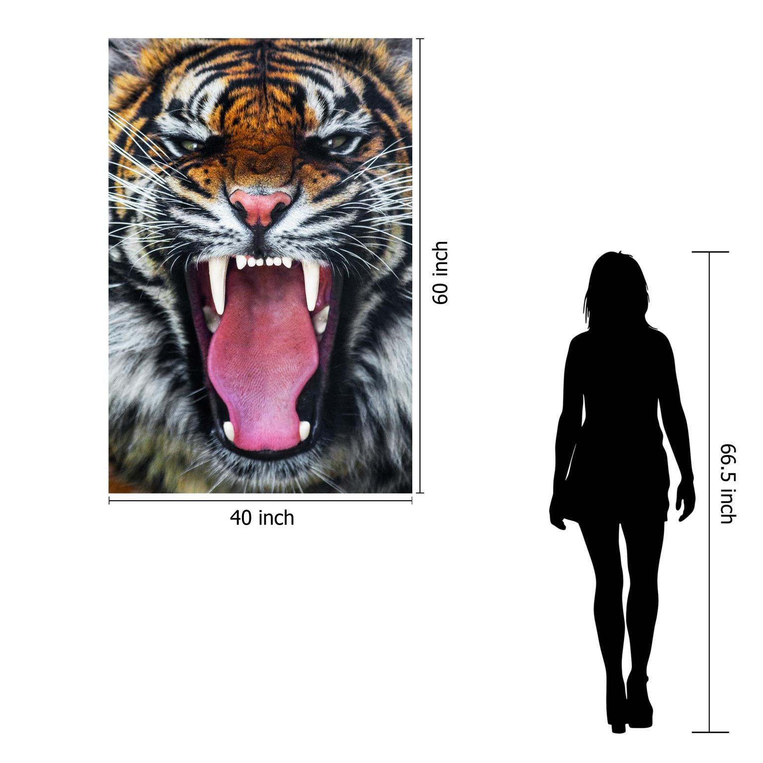 Temp Glass W/Foil - Roaring Tiger Tempered Glass