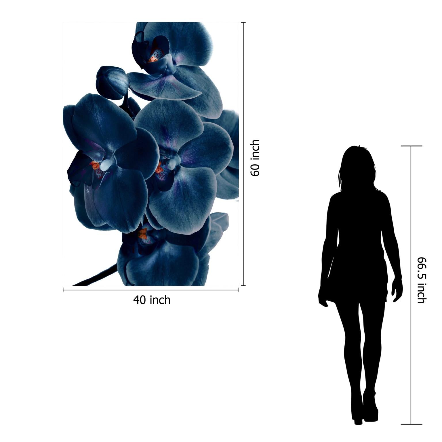 Temp Glass W/Foil - Blue Orchid Tempered Glass