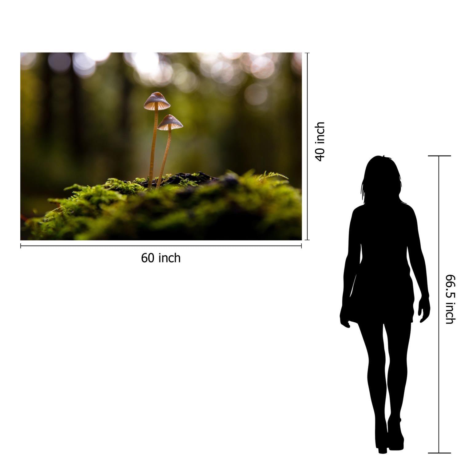 Temp Glass W/Foil -Mushrooms Tempered Glass