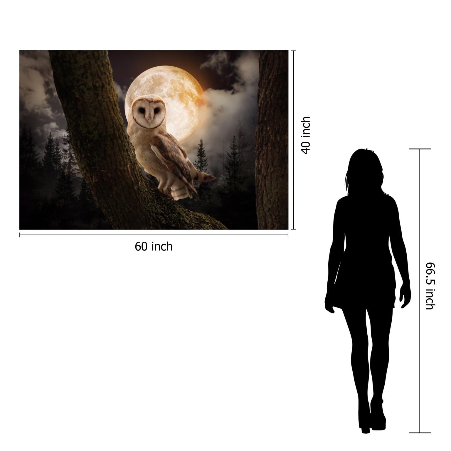 Temp Glass W/Foil -Night Owl Tempered Glass