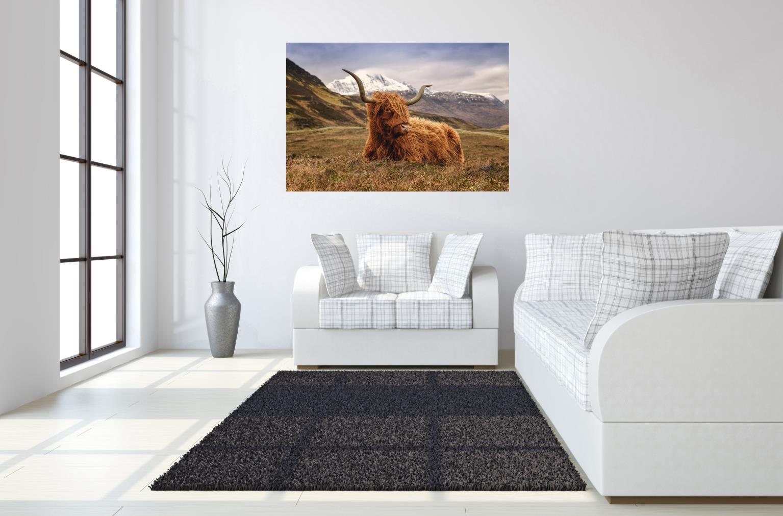 Temp Glass W/Foil - Highland Cow 2 Tempered Glass