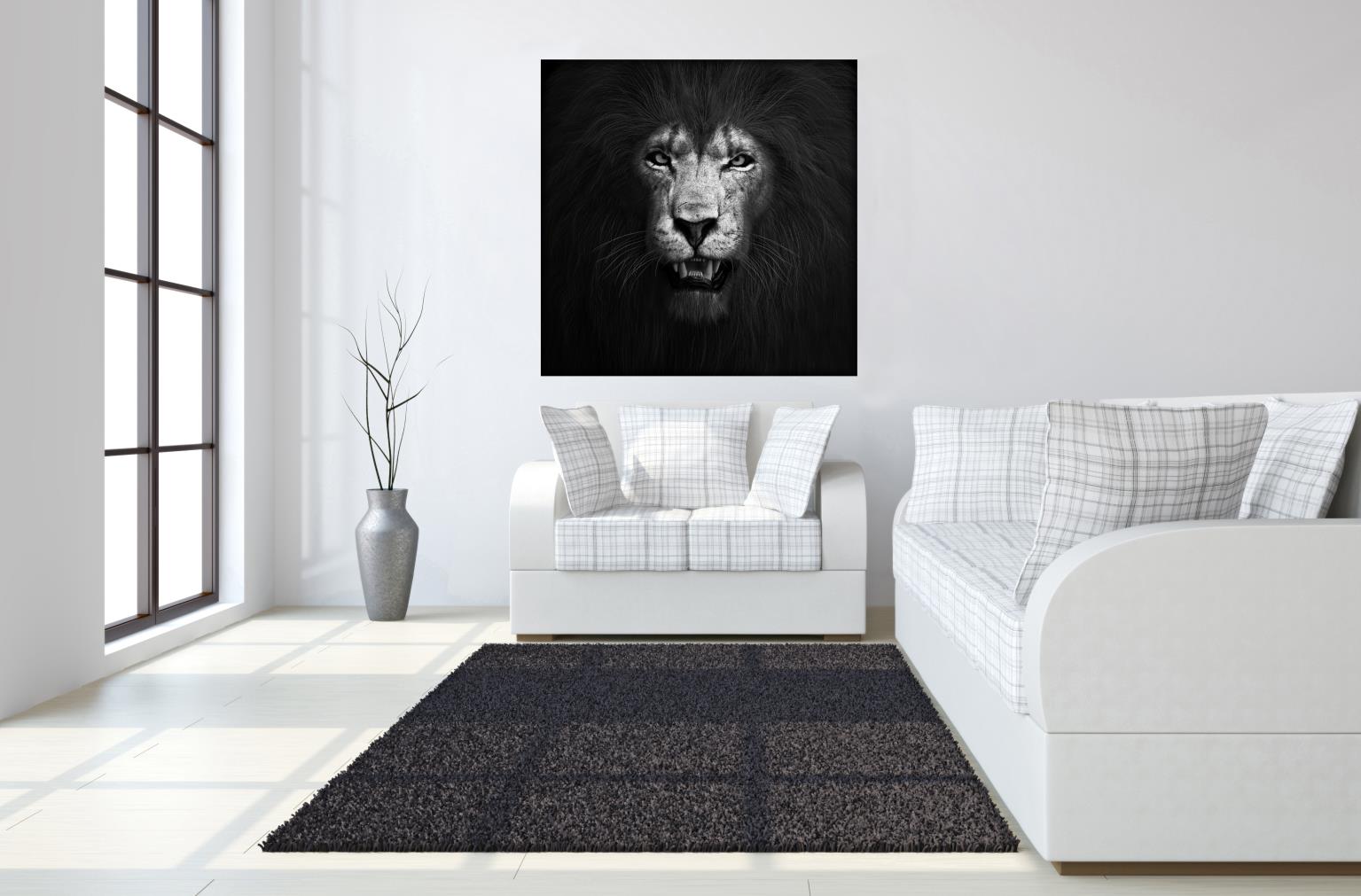 Temp Glass W/Foil -Lion B & W Tempered Glass