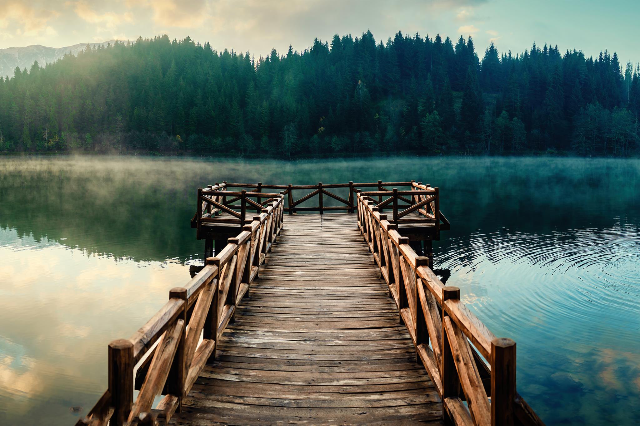 Temp Glass W/ Foil - Dock Views Tempered Glass