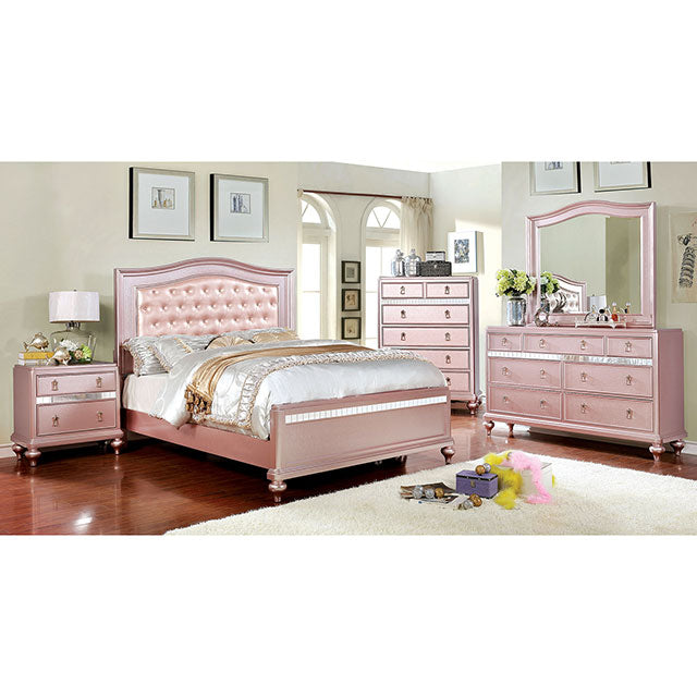 Ariston Youth Collection